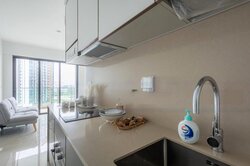 Normanton Park (D5), Apartment #455829931